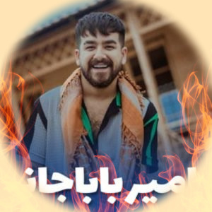 1113 Amir Babajani 300x300 1