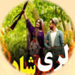 دانلود آهنگ لری شاد عروسی رقص با ارگ ۱۴۰۴