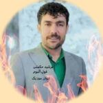 دانلود آهنگ فرشید حکمتی جدید ۱۴۰۵ شاد لری یاسوجی + ریمیکس