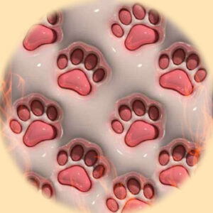 دانلود آهنگ من فقط رد شد یک لحظه نگاهش کردم + ریمیکس اینستاگرام 8 rad