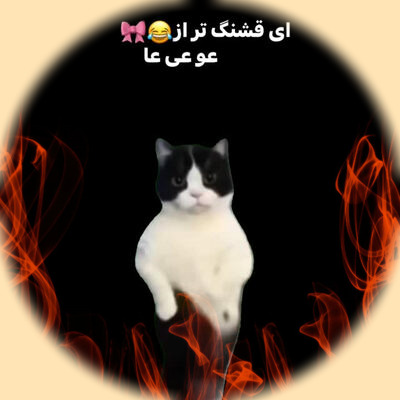 دانلود ریمیکس عو عی عی عا عی عو گربه اینستاگرام تمام آهنگ ها 8 pariya gorbe