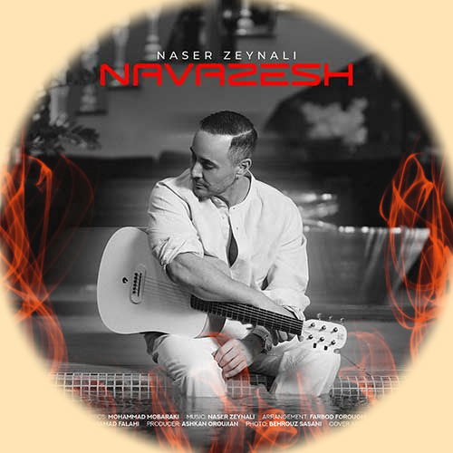 Naser Zeynali Navazesh