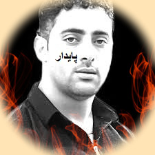 دانلود آهنگ پایدار تا پای دار علی عزیزپور ریمیکس اینستاگرام + اصلی 1 paydar