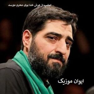 دانلود نوحه امشب از عرش خدا بوی محرم میرسد + ریمیکس اینستا 8 images 601024564545454545